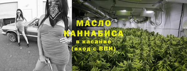 тгк Бородино