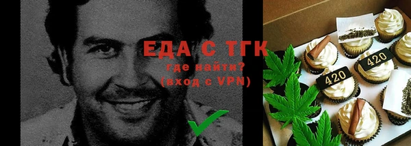 тгк Бородино