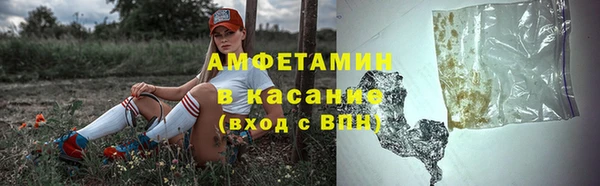тгк Бородино