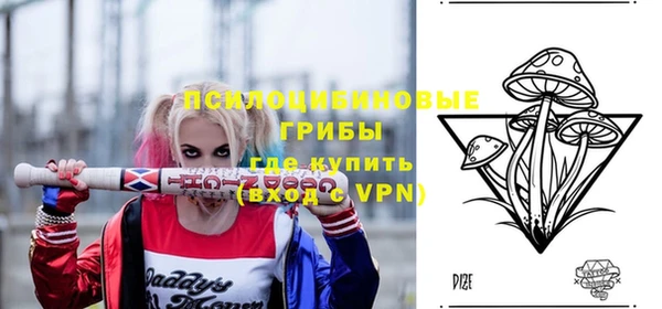 тгк Бородино
